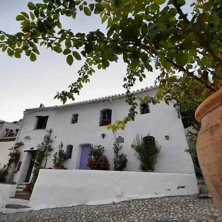 Casa Malva Cómpeta